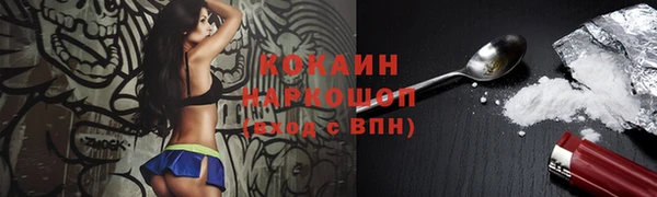 стаф Няндома