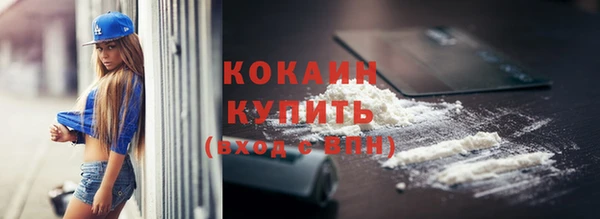 хмурый Новозыбков