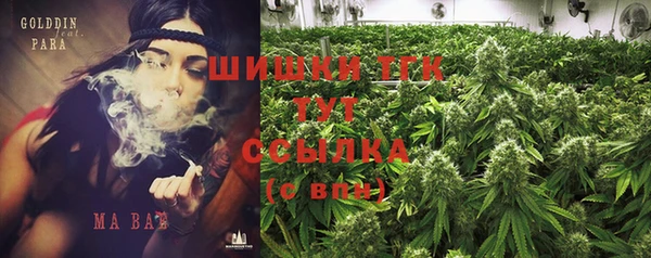 Альфа ПВП Новодвинск