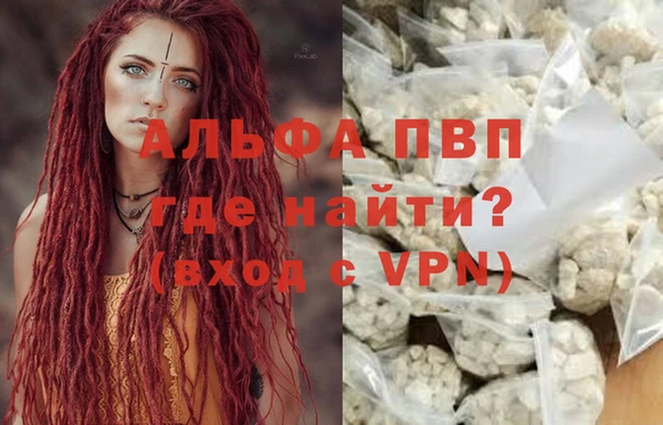 хмурый Новозыбков