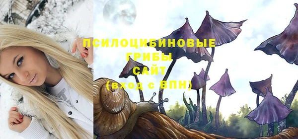 Альфа ПВП Новодвинск