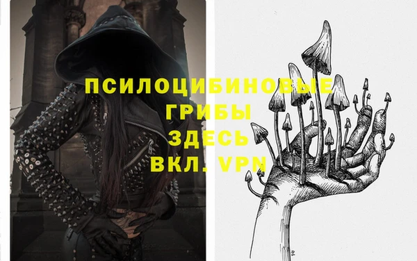 хмурый Новозыбков