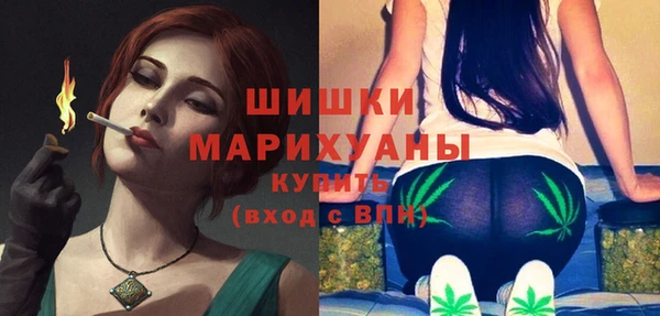 Альфа ПВП Новодвинск