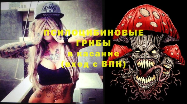 Альфа ПВП Новодвинск