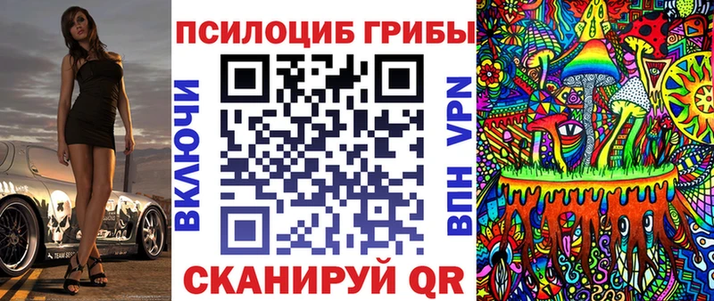 Псилоцибиновые грибы Cubensis  продажа наркотиков  Киренск 